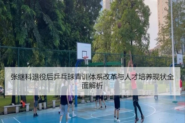 张继科退役后乒乓球青训体系改革与人才培养现状全面解析